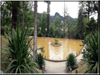 foto Parco botanico Terra Nostra
